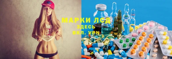 PSILOCYBIN Гусиноозёрск