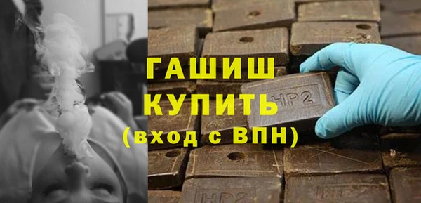 PSILOCYBIN Гусиноозёрск