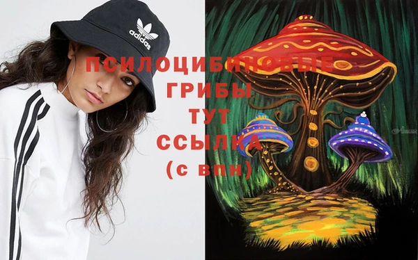 ПСИЛОЦИБИНОВЫЕ ГРИБЫ Гусев