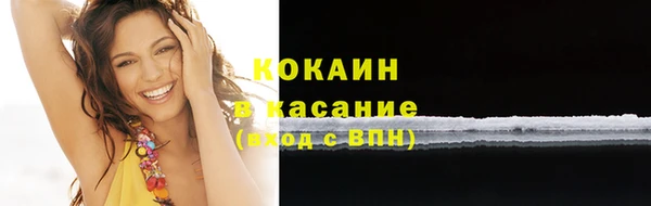 ПСИЛОЦИБИНОВЫЕ ГРИБЫ Гусев