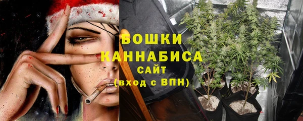 ПСИЛОЦИБИНОВЫЕ ГРИБЫ Гусев