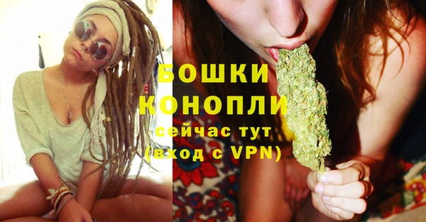 PSILOCYBIN Гусиноозёрск