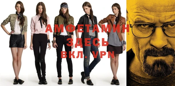 ПСИЛОЦИБИНОВЫЕ ГРИБЫ Гусев