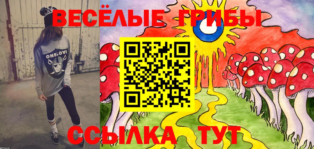 Галлюциногенные грибы прущие грибы  Вход с VPN  Заволжье 